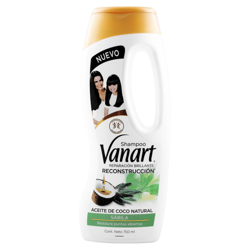 Vanart Reparación Sh Recontruccion 750 ml